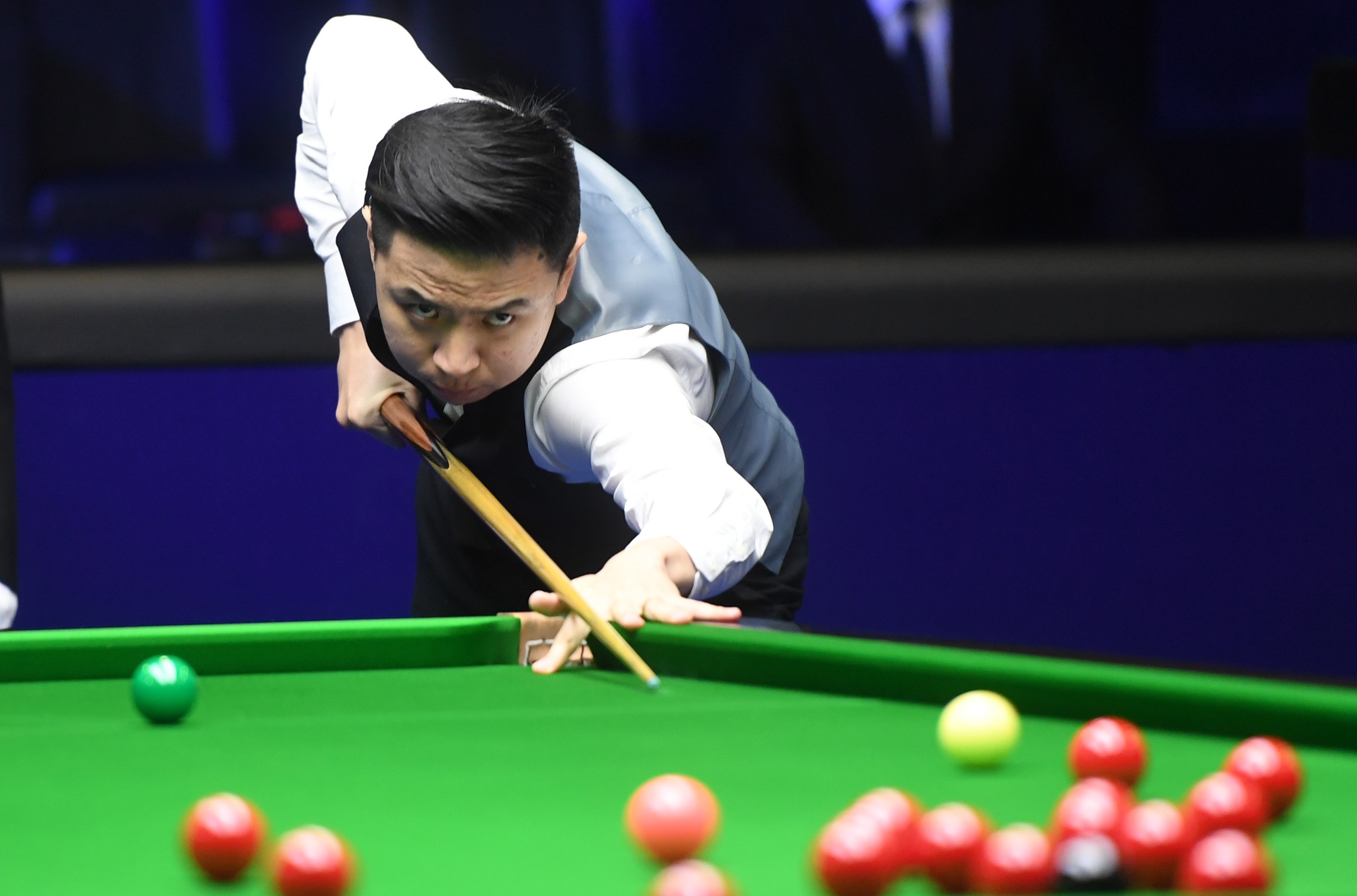 引发了粉丝 引发了粉丝