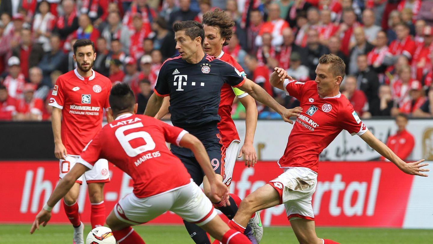 在新环境中 在新环境中